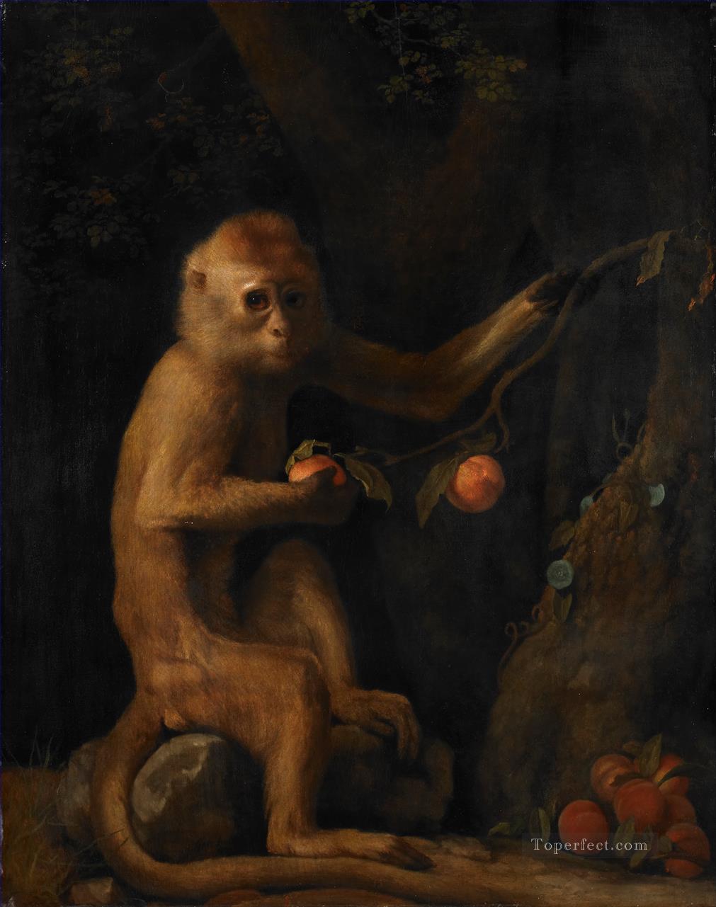 George Stubbs un singe Peintures à l'huile